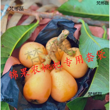j8�����ϰ�ɫ�p���״����o��ˮ���������˷��xţƤ�����ķ��B��g3