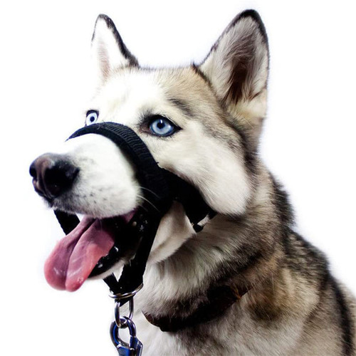 Dog muzzle adjustable anti-biting nose hair mask pet traction set muzzle training belt source factory direct sales