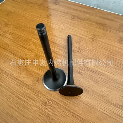Valves and components intake valve 1125511390