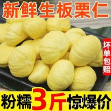 2024�F��ȥƤ�w�������������r�����ʴ�ȥ�����������ЋD3������