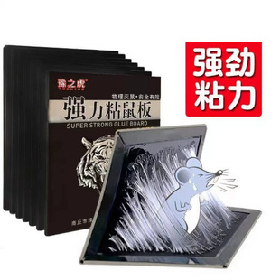 �Ӻ�ӏ�ճ����及ճ����҃�����Ï�ճ�����Nץ�����������