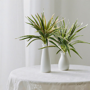 ���W�L����Gֲ���m�ݿ͏d���滨ƿ�廨�b[���m���ݼ�ֲ���쾰