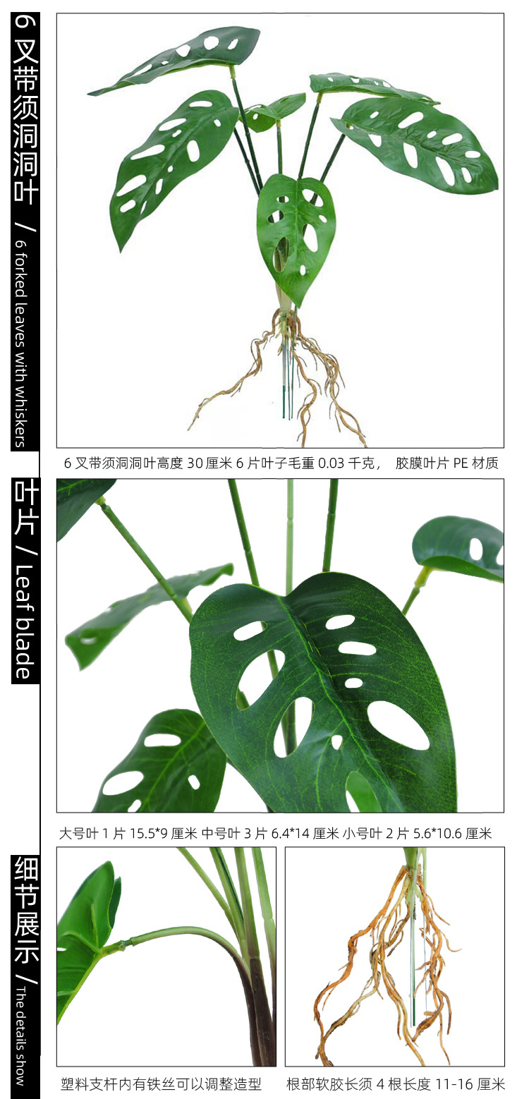 6叉带须洞洞叶 副本副本