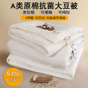 Class a Cotton Soy Fiber Summer Cooling Quilt, Pure Cotton Spring and Autumn Air Conditioning Quilt Core, Winter Quilt, Machine Washable Healthy Fiber