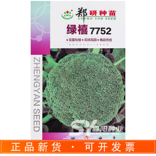 ���оG��7752���m���N�ӻ�������70���������s���G����Gɫ�໨��
