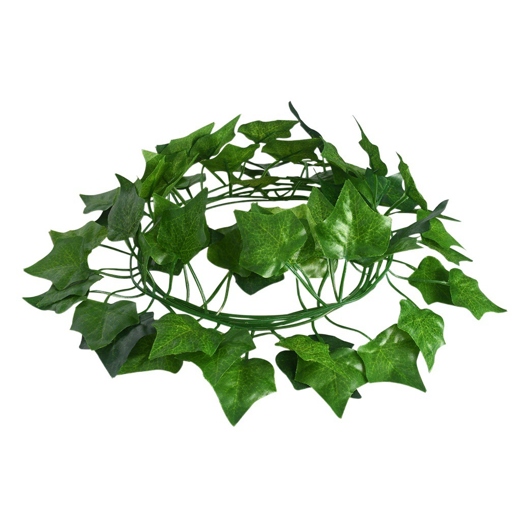 Юэ XingWang Зеленая Роза Лиана