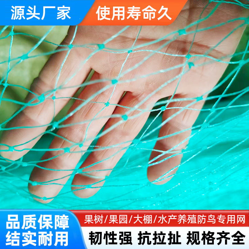PE防鸟网 果园加粗防鸟加厚网养殖大棚果园网跨境爬藤网防护网孔