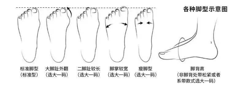 脚型