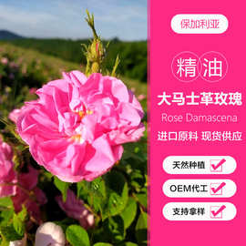 玫瑰精油大马士革玫瑰保加利亚产区精油按摩精油原料工业取样使用