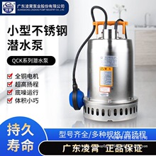 �㶫����QCK��304�����Ǳˮ����ˮ��220V���������۱��Զ���ˮ��