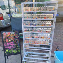 ���~�[��չʾ�ܶ������зeľ���^�p�~չʾ�����Ô[�����Ƅӿɲ�ж