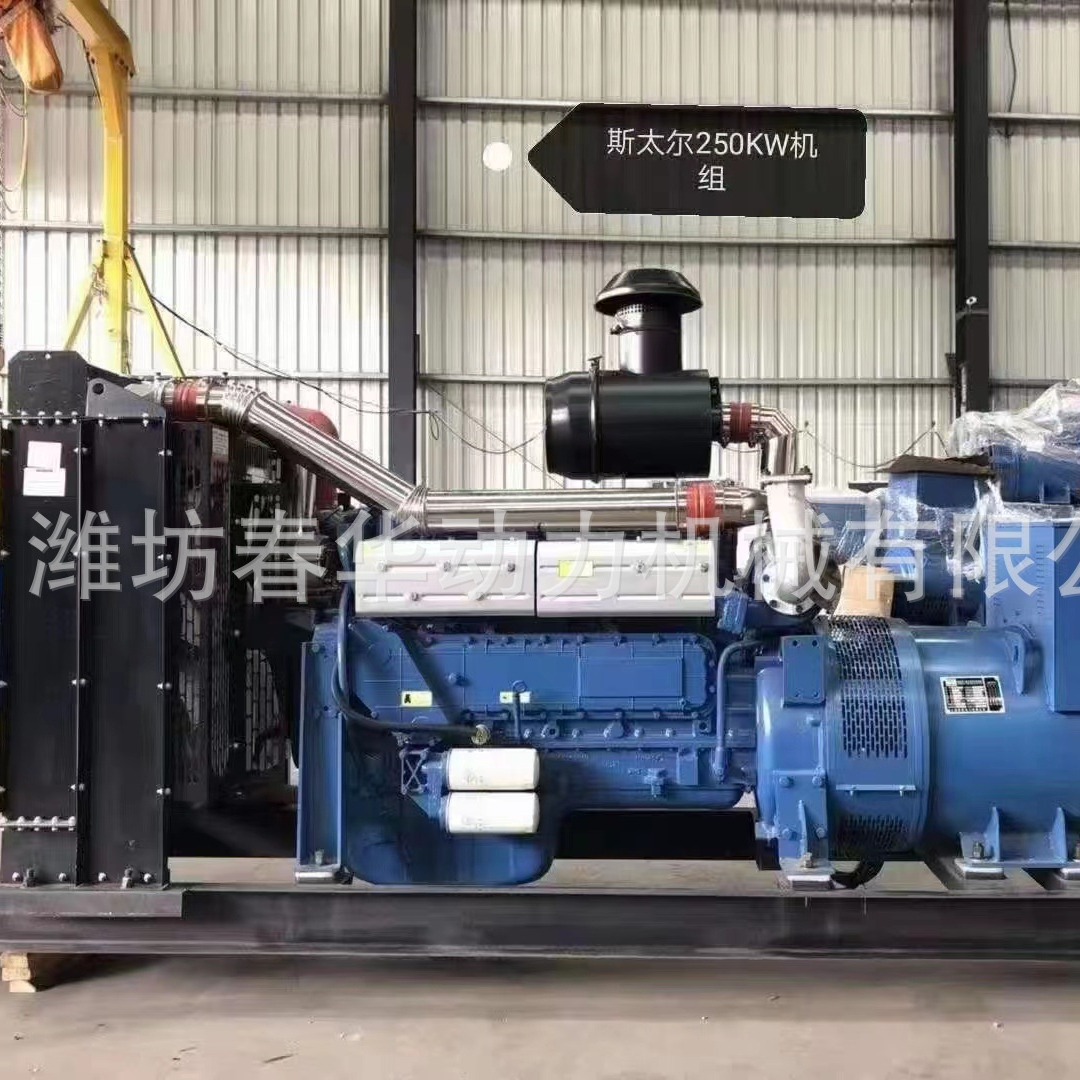 工厂备用250KW全自动化柴油发电机 江西柴油发电机 贵州发电机组