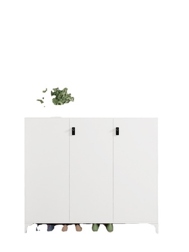 Steel shoe cabinet for home door entrance hallway with lock storage locker indoor and outdoor simple modern dust-proof shoe rack