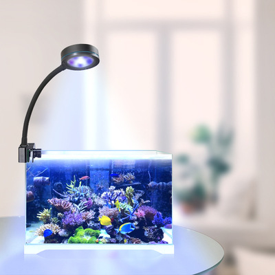 high-power Seawater Q2 Division crown Aquarium Light Fish tank seawater lamp Coral Light Fish tank lamp Refugium lights