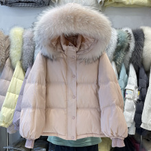 羽绒服女冬季韩版小个子面包加厚宽松大码大毛领短款连帽外套