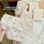 印花女生少女抗菌三角裤