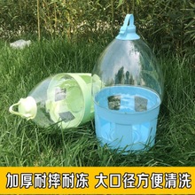 鸽子自动喂水器用具用品饮水器水壶鸽子用水鸽子透明饮食器包邮
