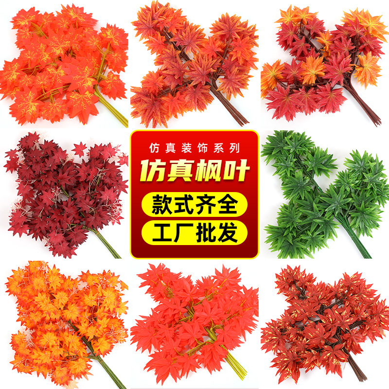 Maple leaf