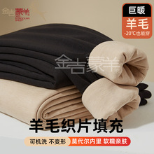 秋冬羊毛织片可机洗棉裤男女士高腰加厚保暖裤批发中老年新款打底