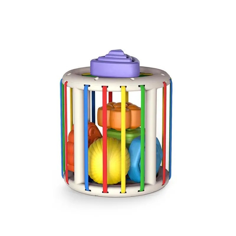 Round rainbow cesele [extra large] e-commerce box