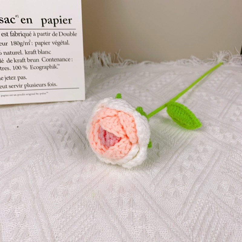 로즈 그라데이션 핑크