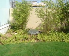 照明光导光管光管自然光导光纤照明导系统导照明地下采光其他