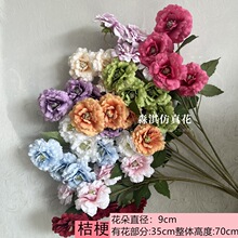 ����۹���Ī��֮�����üٻ��廨��ˇ���ĵ������l���ܷ��滨���l