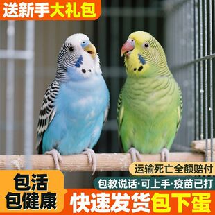 �W�^��Ƥ�B�ɽ̕��fԒ�����̌����B�µ����B���r�����B�����