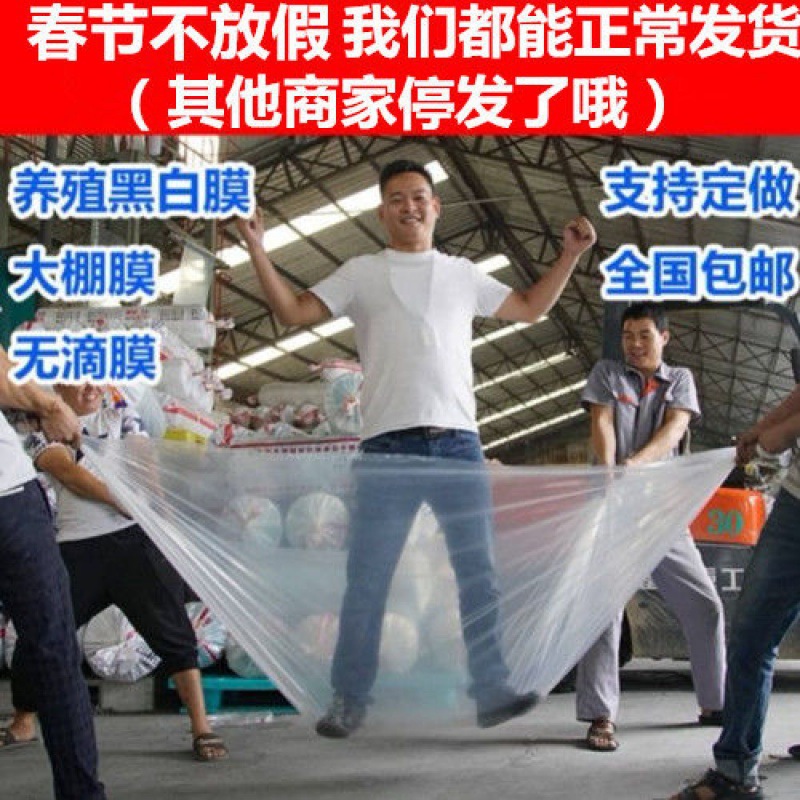 油布塑料布加厚大棚膜透明布防尘塑料薄膜保温农用封窗塑料纸批发