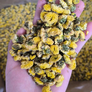 ջ Ұ ؛ S Ұջ ջ500g Sջ~؛