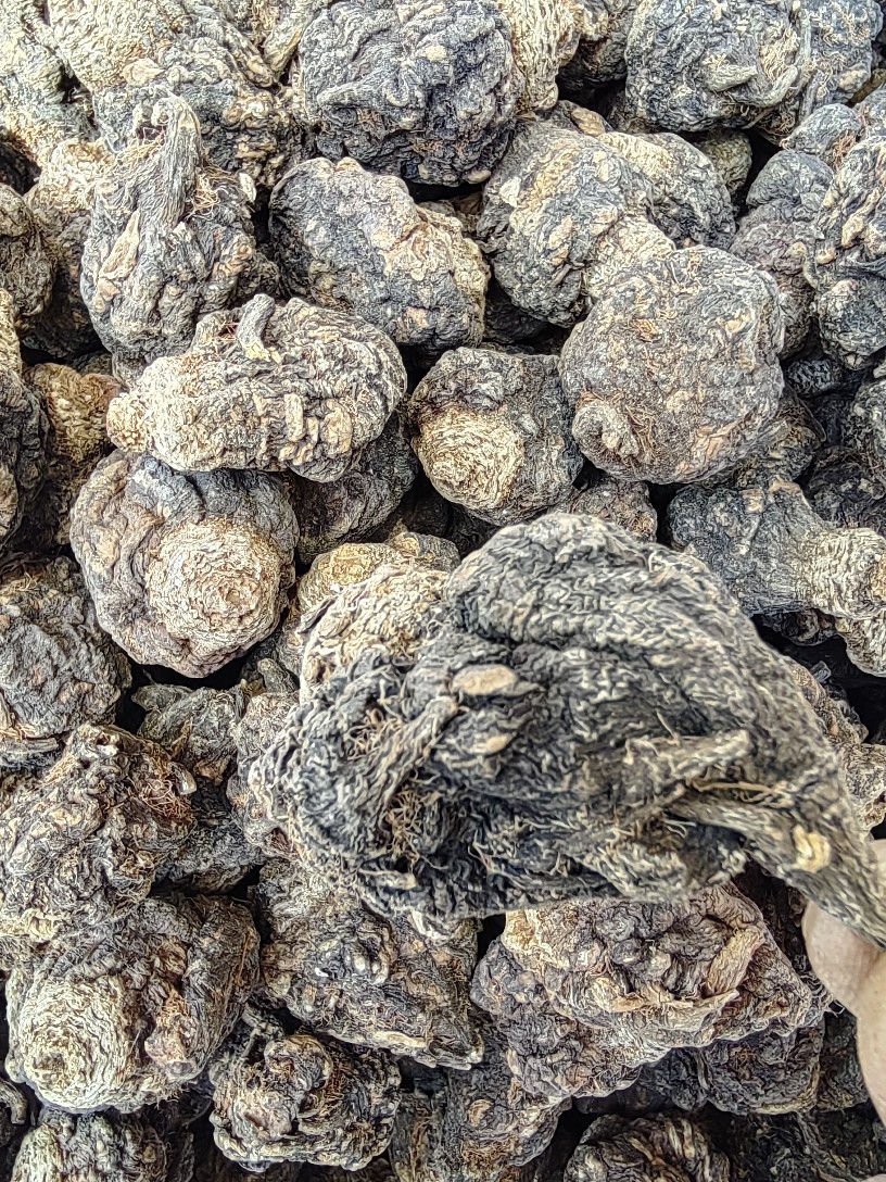 Maca Root (Lepidium meyenii) — Yunnan Black & Yellow Maca Slices, 500g Food Herb key features