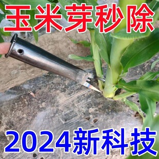 ���¿Ƽ�����������Ѿ���¿��r�Ï����t�����׳����挣�ù���