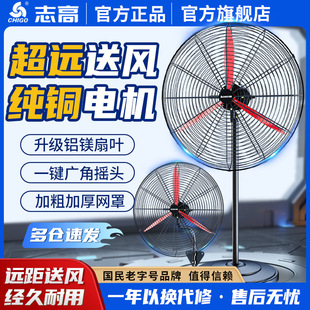 Chigo Industrial Floor Fan, Wall Fan, High-Power Electric Fan, Commercial Horn Fan, One-Button Oscillation, Formaldehyde Removal, Large Air Volume