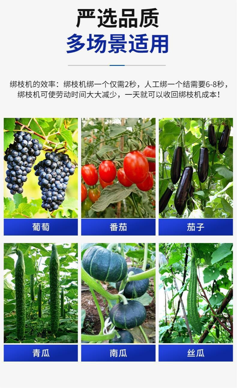 O1CN01zKZdxR1hzR2GnDokn_!!3900