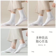 ��Ͳ�m���д��m���ļ����m��ʿ��ϵ�\���m�@������m�[���m�����l