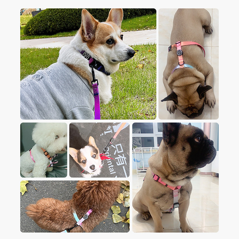 Correa de perro pequeño perro mediano y grande cuerda para caminar color degradado Cadena de perro correa de pecho suministros para mascotas collar