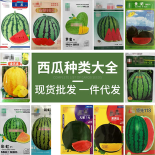 �S�����l�߲�ˮ���N������������֭�ļ��NֲƤ�����ߙn�Ϲ�