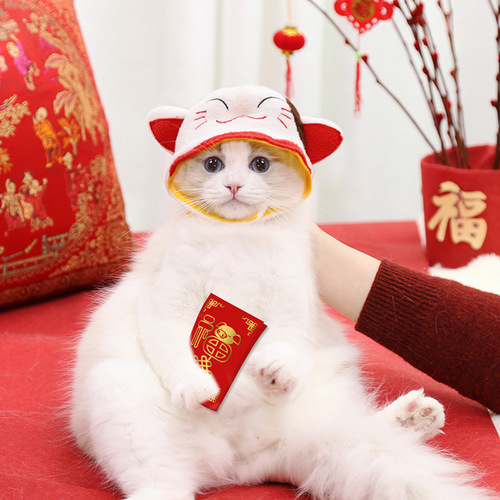 Pet Hat for New Year, Cute Cat, Teddy, Bichon, Dog, Costume Accessory, Headwear, Transformation