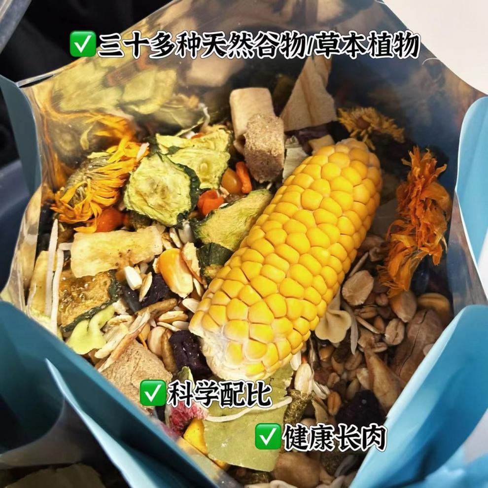 86a4e602-a76d-4960-b8d5-7dea08faaa65.jpe