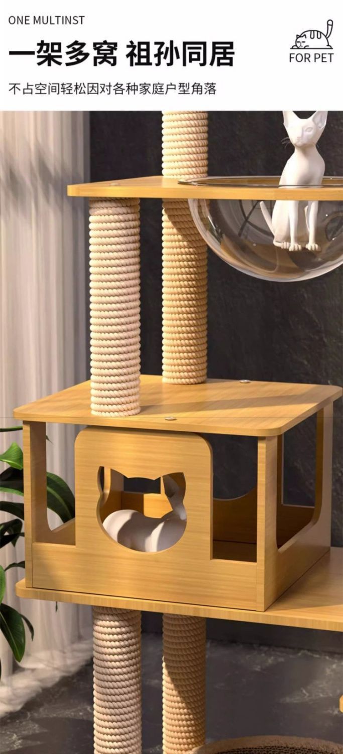 2531d73c-169c-4adb-bb4c-bd39f6d62ce9.jpe