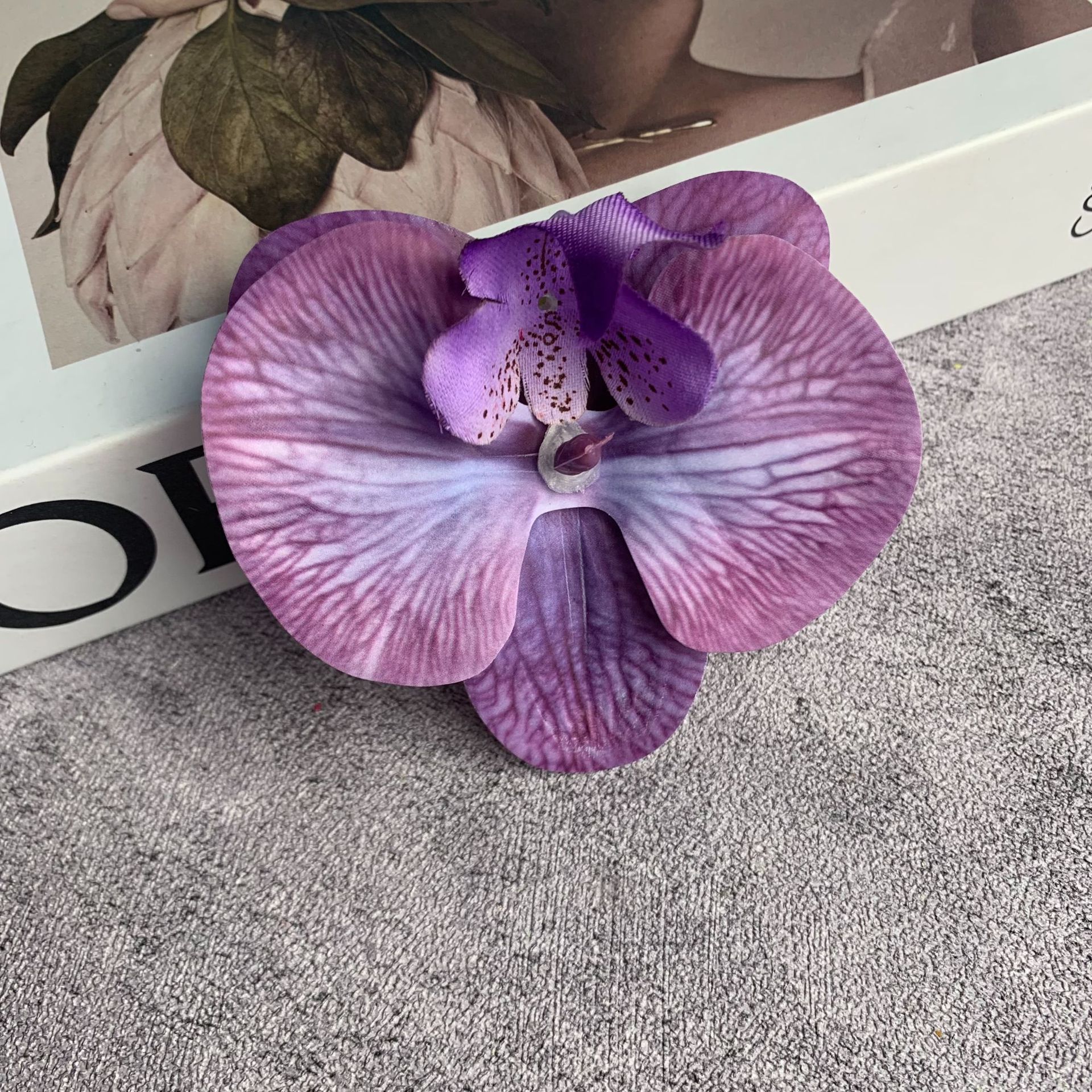 중간 호접란 머리 보라색