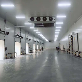 智能温控 小型冷库安装 环保优秀 按需求制作 海鲜冷冻库