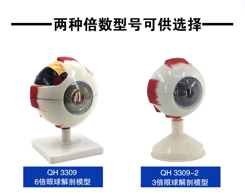 O1CN016JSBr52Kk6XgXhYl4_!!3578