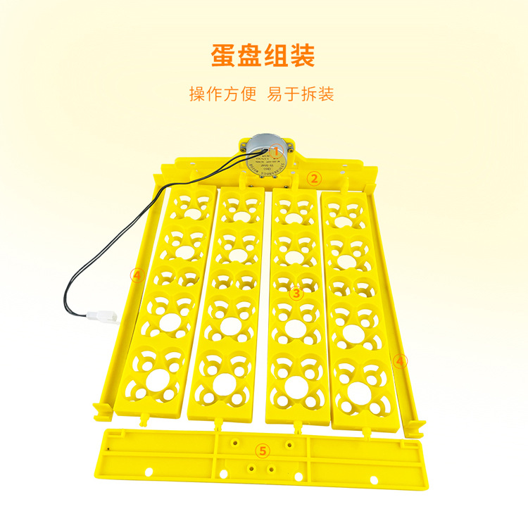 72 Dispositivo de giro de huevo de Paloma de pájaro de codorniz 16 Flor de cuatro hojas incubadora multifunción