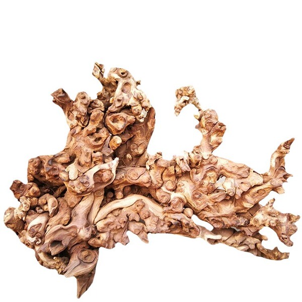 Coral aquarium decor