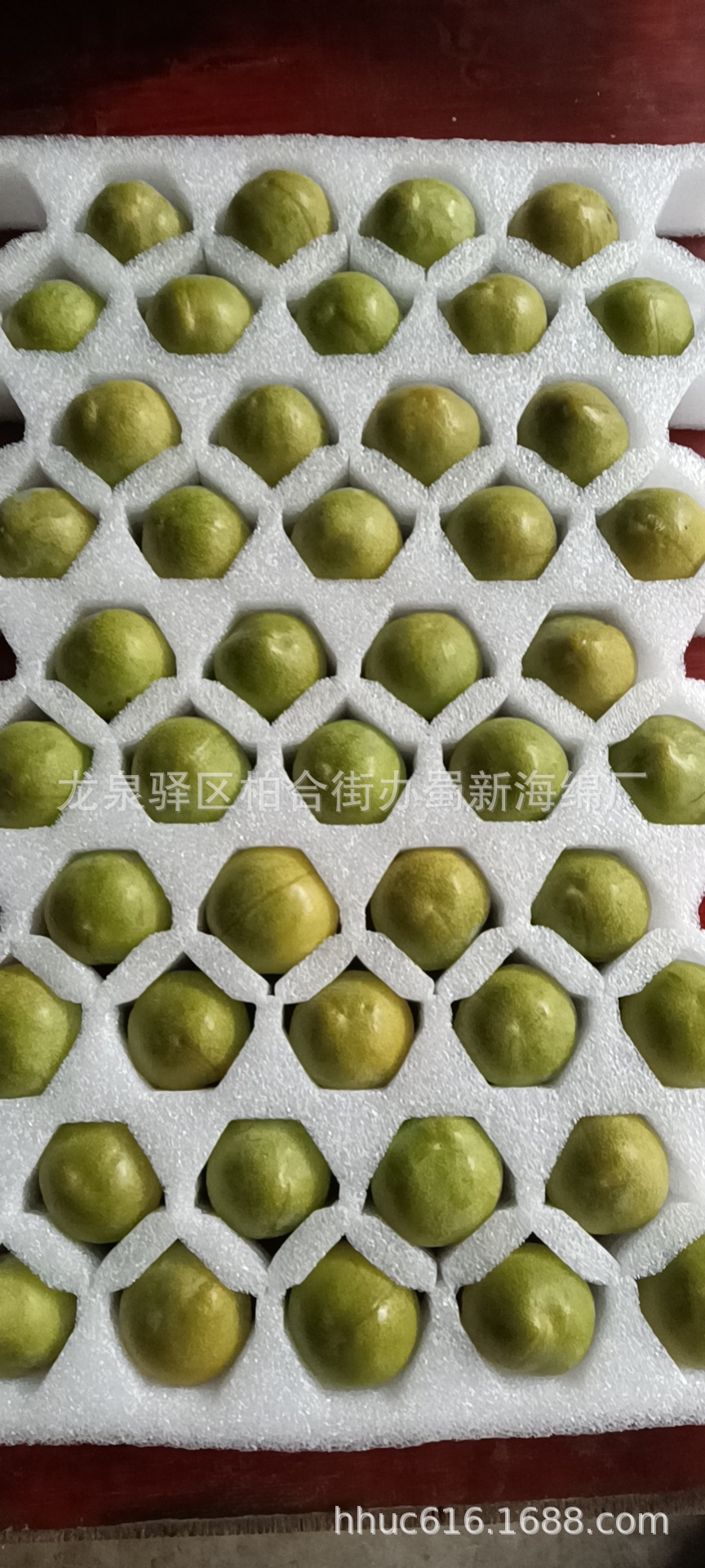 李子快递防护包装/李子缓冲减震包装泡沫/拉伸网格李子包装泡棉