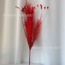 ��ë�Pβ��ȸ�ݻ�c���滨���l��cë��·���b���ë