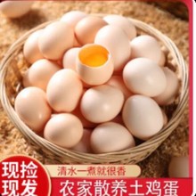 农家新鲜土鸡蛋30枚装谷饲散养鸡蛋谷物蛋溏心蛋巨浪中国大陆全年