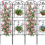 植物登山花园黑色格子架