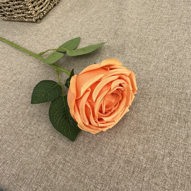 Single branch French rose Orange